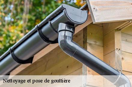 Nettoyage et pose de gouttière