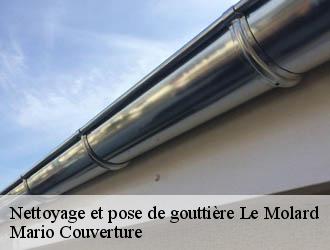 Nettoyage et pose de gouttière  le-molard-69150 Mario Couverture 