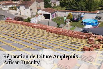 Réparation de toiture  amplepuis-69550 Artisan Duculty