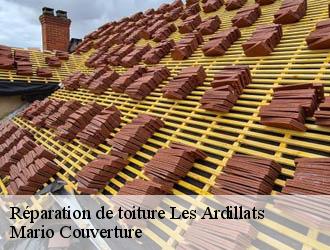 Réparation de toiture  les-ardillats-69430 Mario Couverture 