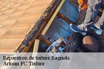 Réparation de toiture  bagnols-69620 Artisan FC Toiture