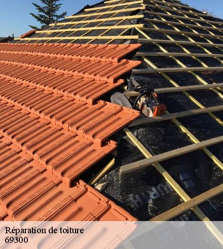 Réparation de toiture 69300
