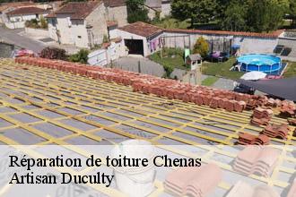 Réparation de toiture  chenas-69840 Artisan Duculty