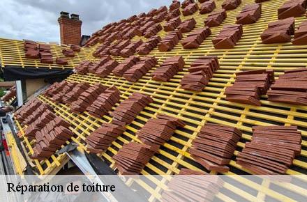 Réparation de toiture  69840