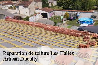 Réparation de toiture  les-halles-69610 Artisan Duculty