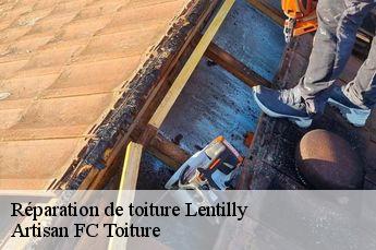 Réparation de toiture  lentilly-69210 Artisan FC Toiture