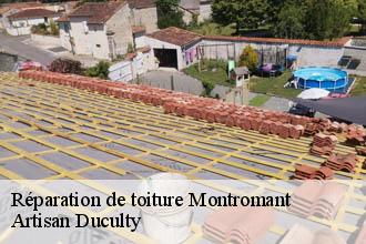 Réparation de toiture  montromant-69610 Artisan Duculty