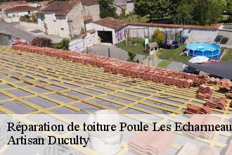Réparation de toiture  poule-les-echarmeaux-69870 Artisan Duculty