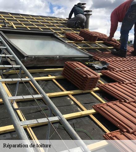 Réparation de toiture 69440
