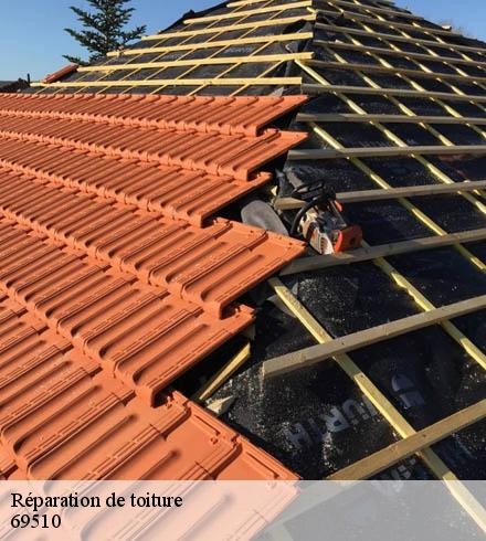 Réparation de toiture 69510