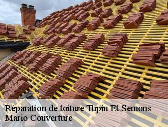 Réparation de toiture  tupin-et-semons-69420 Mario Couverture 