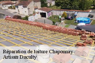 Réparation de toiture  chaponnay-69970 Artisan Duculty