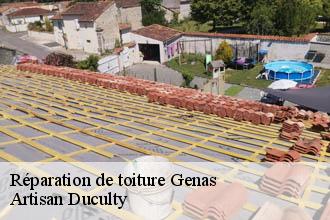Réparation de toiture  genas-69740 Artisan Duculty