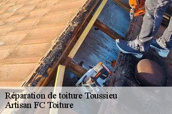 Réparation de toiture  toussieu-69780 Artisan FC Toiture