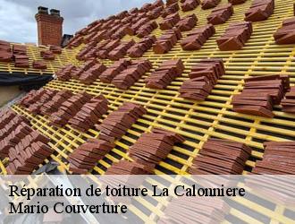 Réparation de toiture la-calonniere-69690 Mario Couverture