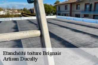 Etanchéité toiture  brignais-69530 Artisan Duculty