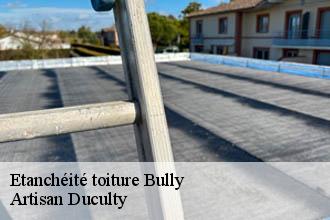 Etanchéité toiture  bully-69210 Artisan Duculty