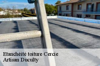 Etanchéité toiture  cercie-69220 Artisan Duculty