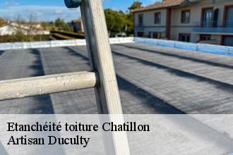 Etanchéité toiture  chatillon-69380 Artisan Duculty