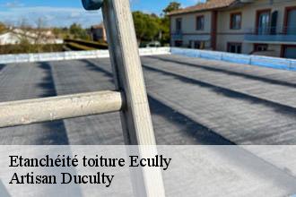 Etanchéité toiture  ecully-69130 Artisan Duculty