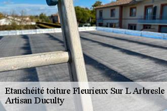 Etanchéité toiture  fleurieux-sur-l-arbresle-69210 Artisan Duculty