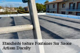 Etanchéité toiture  fontaines-sur-saone-69270 Artisan FC Toiture