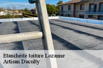 Etanchéité toiture  lozanne-69380 Artisan FC Toiture