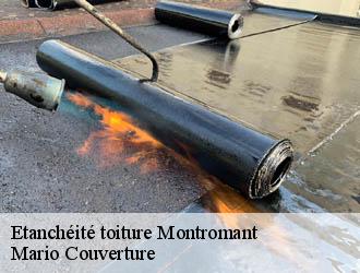 Etanchéité toiture  montromant-69610 Mario Couverture 