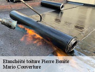 Etanchéité toiture pierre-benite-69310 Mario Couverture