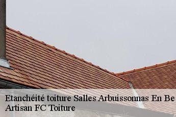 Etanchéité toiture  salles-arbuissonnas-en-be-69460 Artisan FC Toiture