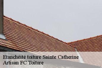 Etanchéité toiture  sainte-catherine-69440 Artisan FC Toiture