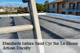 Etanchéité toiture  saint-cyr-sur-le-rhone-69560 Artisan Duculty