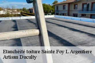 Etanchéité toiture  sainte-foy-l-argentiere-69610 Artisan Duculty