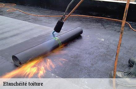 Etanchéité toiture  69140