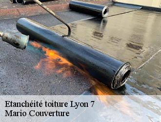 Etanchéité toiture  lyon-7-69007 Mario Couverture 