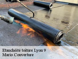 Etanchéité toiture  lyon-9-69009 Mario Couverture 