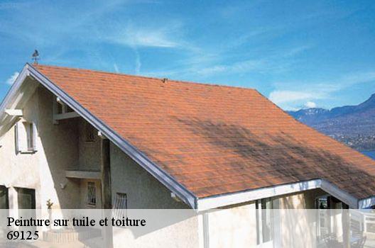 Peinture sur tuile et toiture  69125