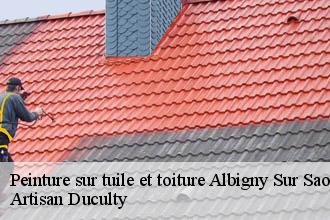 Peinture sur tuile et toiture  albigny-sur-saone-69250 Artisan Duculty
