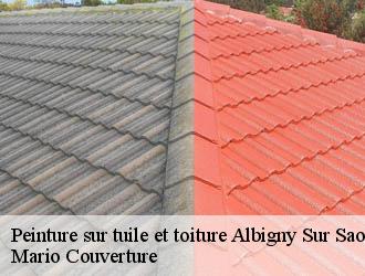 Peinture sur tuile et toiture  albigny-sur-saone-69250 Mario Couverture 