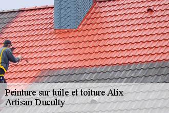 Peinture sur tuile et toiture  alix-69380 Artisan Duculty