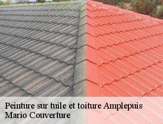 Peinture sur tuile et toiture  amplepuis-69550 Mario Couverture 