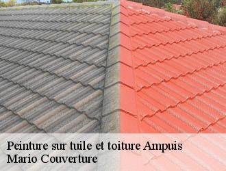 Peinture sur tuile et toiture  ampuis-69420 Mario Couverture 