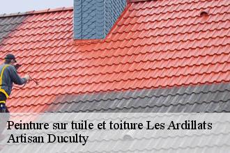 Peinture sur tuile et toiture  les-ardillats-69430 Artisan Duculty