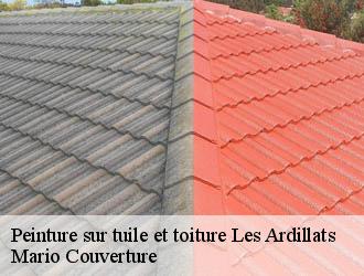 Peinture sur tuile et toiture  les-ardillats-69430 Mario Couverture 