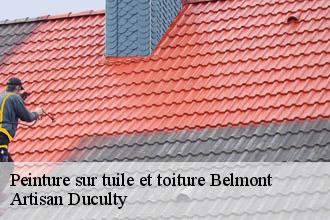 Peinture sur tuile et toiture  belmont-69380 Artisan FC Toiture