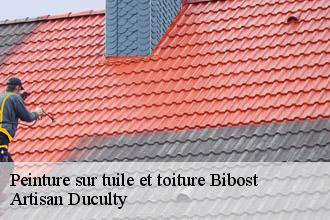 Peinture sur tuile et toiture  bibost-69690 Artisan Duculty