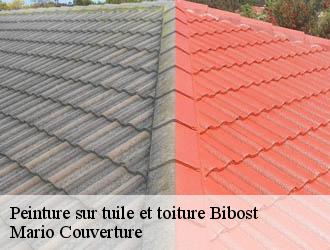 Peinture sur tuile et toiture  bibost-69690 Mario Couverture 