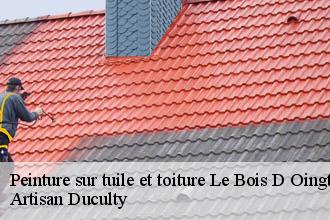 Peinture sur tuile et toiture  le-bois-d-oingt-69620 Artisan Duculty