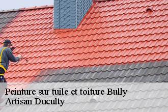 Peinture sur tuile et toiture  bully-69210 Artisan Duculty