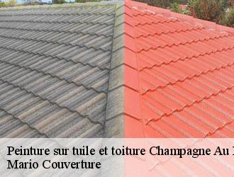 Peinture sur tuile et toiture  champagne-au-mont-d-or-69410 Mario Couverture 